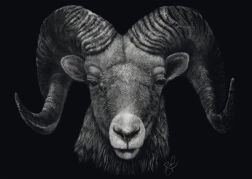 Puzzle Dominanța Berbecului: Întruchiparea focului 1000 piese SCHMIDT