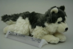 Câine husky de pluș 35 cm