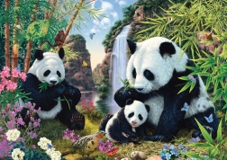 Puzzle cu panda lângă cascadă 500 piese SCHMIDT