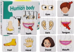 Puzzle educative – părți ale corpului uman, 10 perechi, vocabular în engleză