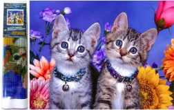 Pictură cu diamante Două pisicuțe 30x40 cm