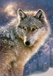 puzzle 500 piese Lone Wolf