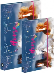 Set de cutii pentru caiete A4 și A5 – cal