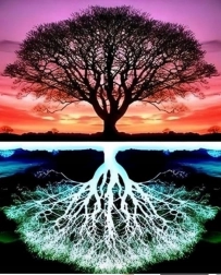 Pictură cu Diamante Arbore 30x40 cm