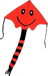 Zmeu zburător cu zâmbet 80 × 60 cm