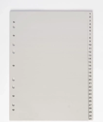Organizator documente A4 1-31