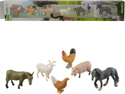 Animale de casă în cutie