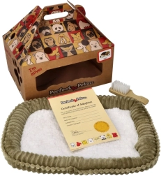 Perfect Petzzz câine de munte bernez care „respiră” – disponibil pentru adopție