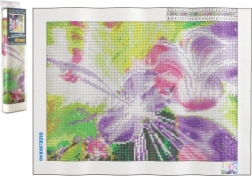 Pictură cu diamante – violonista magică 30 × 40 cm