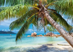 Puzzle Plajă Tropicală 1000 piese