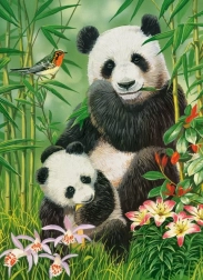 Puzzle Castorland Panda Brunch 300 piese