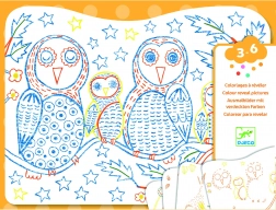 Colorat Magic Bufniță și Prieteni