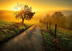 Puzzle Ravensburger Dimineață în raze aurii 1000 piese