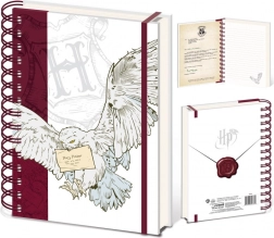 Harry Potter bloc cu spirală Special Delivery