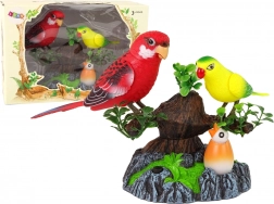 Papagali cântători și mobili pe un copac colorat