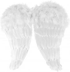Aripi de înger cu puf
