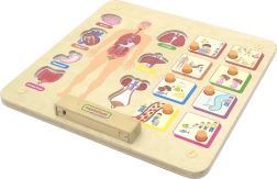 Tablă educațională a corpului uman Masterkidz Montessori