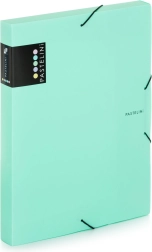 Cutie cu elastic A4 PASTELINI verde