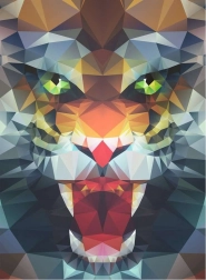 Puzzle Leul Poligonal 500 Piese Ravensburger