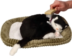 Adoptă-mă pisicuță alb-negru care „respiră”