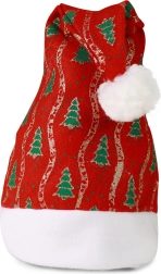 Căciulă de Crăciun