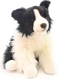 Border Collie din pluș 35 cm