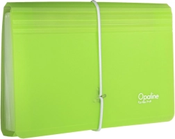 Organizator pentru documente cu elastic transparent-verde