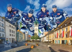Puzzle STRAUBING TIGERS 1000 piese de la EUROGRAPHICS