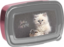 Paso cutie pentru gustări cu pisicuță 750 ml