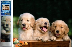 Mozaic cu diamante - Trei câini