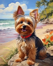 Norimpex Pictură după numere Yorkshire pe plajă 40 × 50 cm