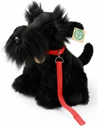 Rappa Câine din pluș