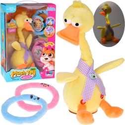 Ringo – joc interactiv de aruncare cu rățușcă luminoasă în mișcare