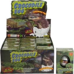 Ou cu crocodil care crește în apă