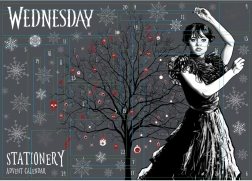 Calendar de Advent Wednesday cu rechizite