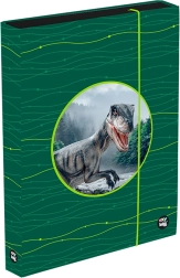 Box pentru caiete A4 Jumbo OXY Sherpy verde