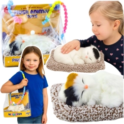 Pisicuță adormită pe pernuță cu blăniță moale și sunete de miau în săculeț portabil