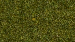 Iarbă statică Noch pajiște sălbatică, 9 mm