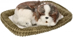 Adoptă-mă cățeluș care „respiră” Shih Tzu