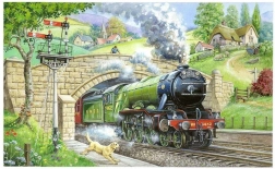 HOP Puzzle Observarea trenurilor 250 de piese
