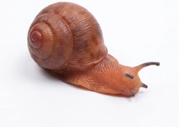 Melc din cauciuc 13 cm