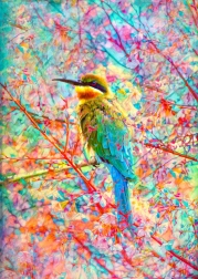 Puzzle Păsărică fericită 1000 de piese