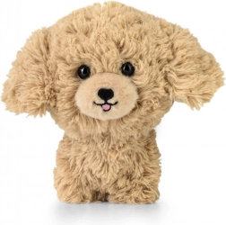 Jucărie de pluș TEDDY PETS – pudel auriu
