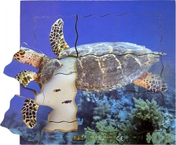 Puzzle din lemn stratificat broască țestoasă - 19 piese