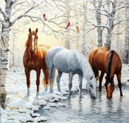 Mozaic cu diamante - Cai iarna