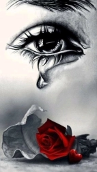 Pictură cu diamante Plânsul deasupra trandafirului 30 × 40 cm