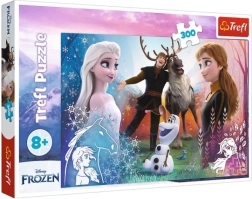 Puzzle 300 piese – timpul magic DISNEY FROZEN 2