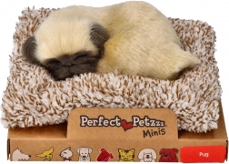Cățeluș mops mic Perfect Petzzz