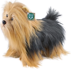 Yorkshire terrier plușat în picioare, 30 cm, Eco-Friendly