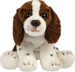 Câine de pluș – spaniel